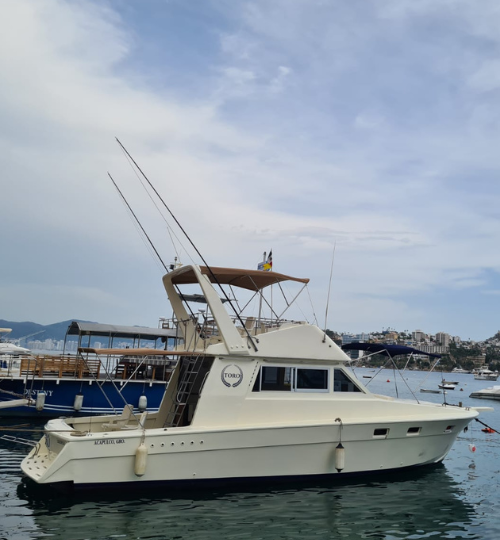 yate (13)