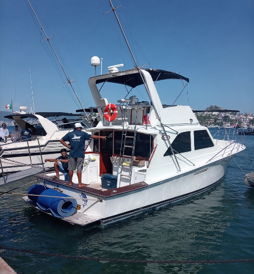 yate (19)