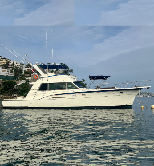 yate (46)