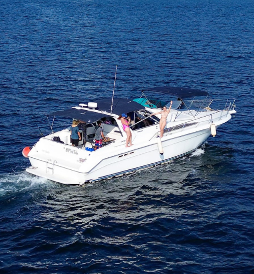 yate (60)